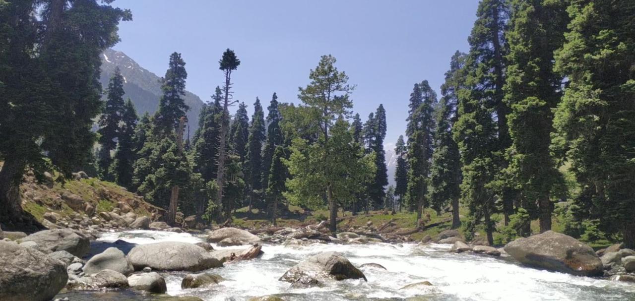 New Relax Inn, Pahalgam, 2 Km From Lidder Valley ภายนอก รูปภาพ